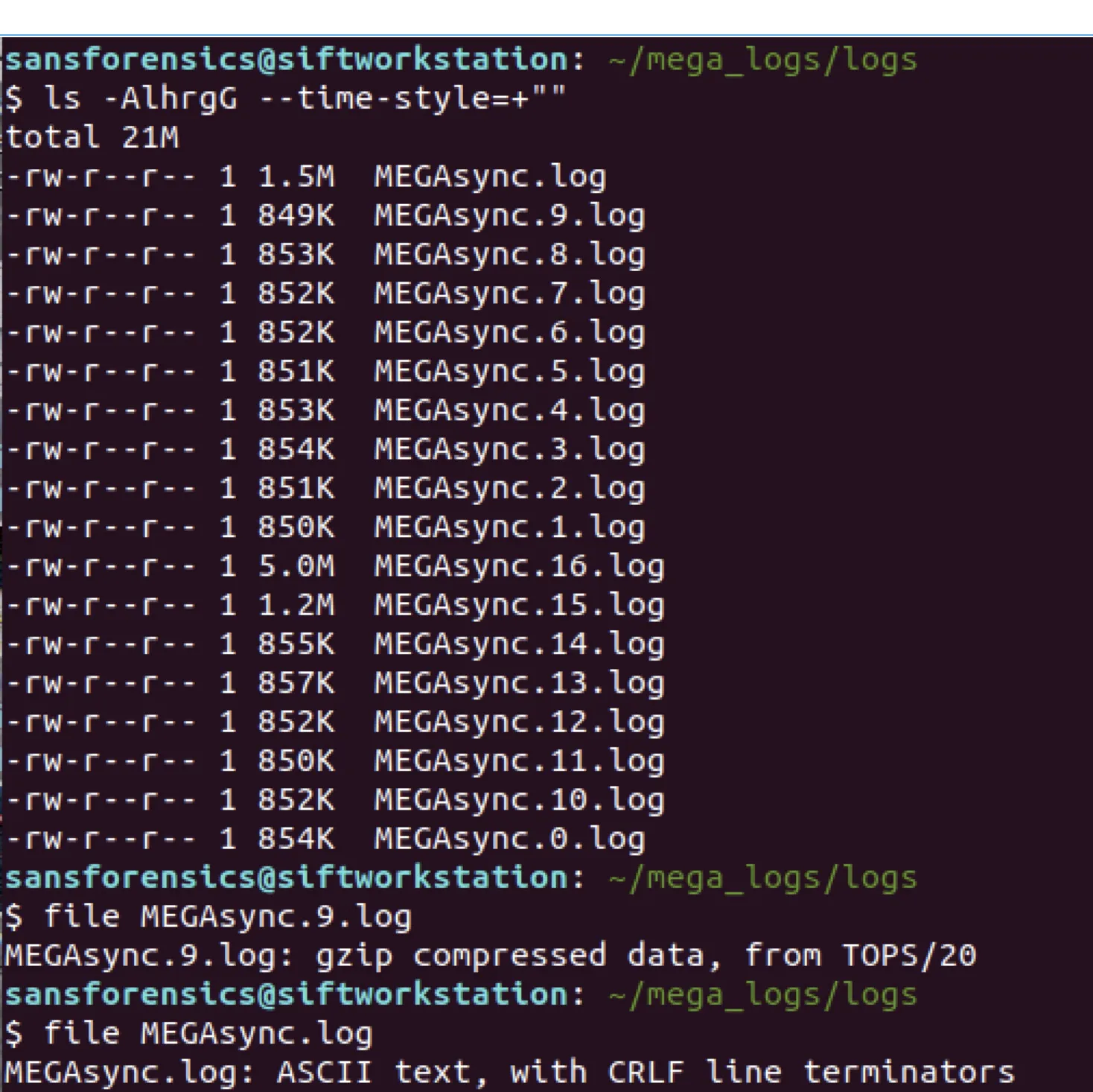 Terminal listing MEGAsync log files, with the file command showing older logs are gzip-compressed