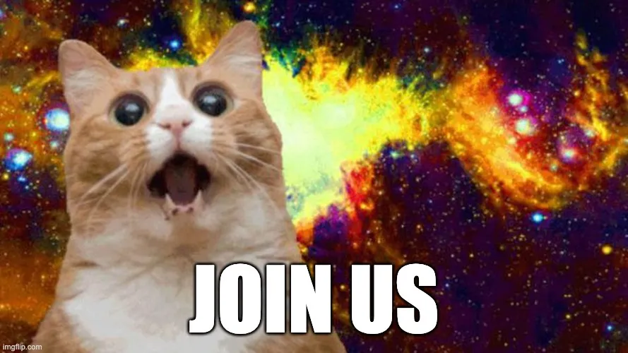 Wide-eyed cat against a galaxy background, captioned: join us
