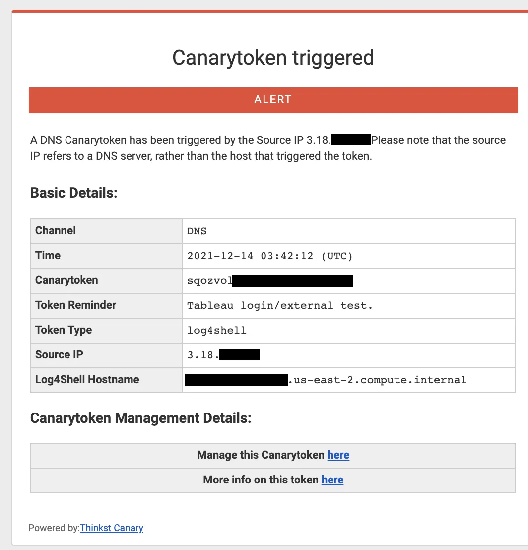Canarytoken triggered alert email listing the DNS channel, token type log4shell, source IP and Log4Shell hostname