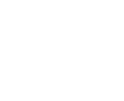 City of Dallas Employee Retirement Fund